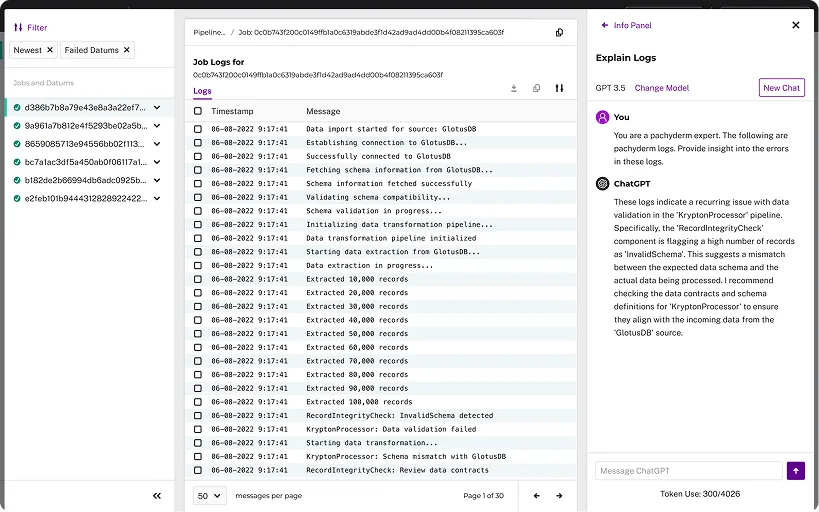 AI model explaining data import logs to the user in a more easily understood format.